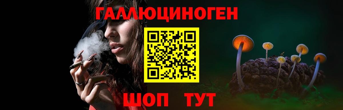 Балашов  Псилоцибиновые грибы прущие грибы  где купить наркотик  Галлюциногенные грибы MAGIC MUSHROOMS  Вход с VPN 